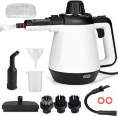 dampfreiniger-gegen-bettwanzen-1