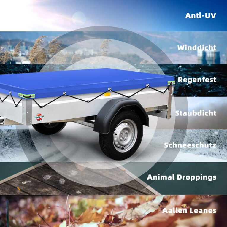 71M6Z1tlgbL._AC_SL1500_